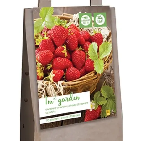 Gift bag - Strawberries - Elsanta - 10 Plants - Buy Strawberry Plants?
