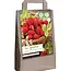 Gift bag - Strawberries - Maxim - 10 Plants - Buy Strawberry Plants?