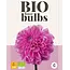 Dahlia Pink Pop - Organic - New - Buy organic summer flowers? Garden Select