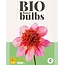 Dahlia Totally Tangerine - Buy Organic Flower Bulbs Online? - Garden-Select.com
