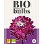 Dahlia Vancouver - Organic Bulbs / Flowerbulbs Buy it cheap? Garden Select