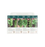 Buzzy Kitchen Herbs Collection - Buy 6 Types of Herbs? Garden-Select.com