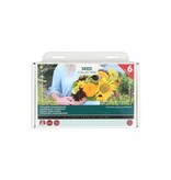 Sonnenblumenkollektion - 6 Arten - Blumensamen kaufen? Garden-Select.com