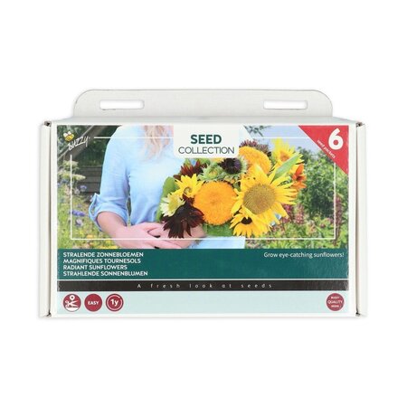 Sonnenblumenkollektion - 6 Arten - Blumensamen kaufen? Garden-Select.com