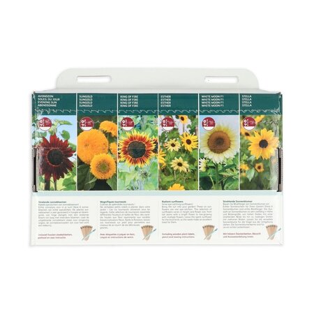 Sonnenblumenkollektion - 6 Arten - Blumensamen kaufen? Garden-Select.com