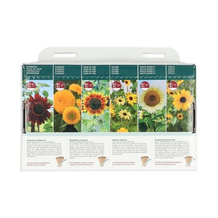 Sunflower Collection - 6 Species - Buy Flower Seeds? Garden-Select.com
