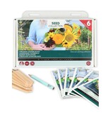 Sonnenblumenkollektion - 6 Arten - Blumensamen kaufen? Garden-Select.com