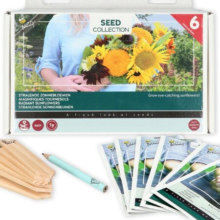 Sonnenblumenkollektion - 6 Arten - Blumensamen kaufen? Garden-Select.com