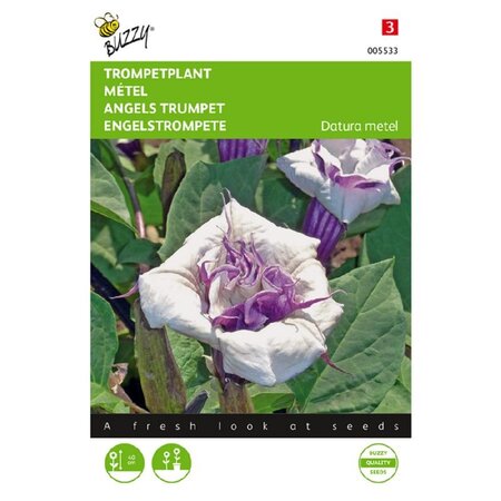 Buzzy Witte Trompetplant - Datura Metel Zaden - Meerjarige Plantzaden Kopen?