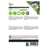 Buzzy Witte Trompetplant - Datura Metel Zaden - Meerjarige Plantzaden Kopen?