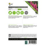 Buzzy Lupine - Russel's Hybrids Gemengd - Vaste Planten zaden Kopen? Garden-Select.com