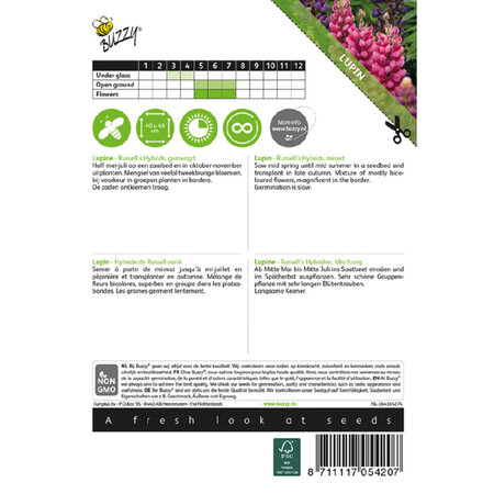 Buzzy Lupine - Russel's Hybrids Mixed - Stauden-Samen kaufen? Garden-Select.de
