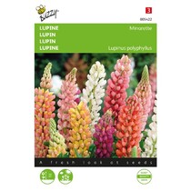 Lupine Lage - Minarette