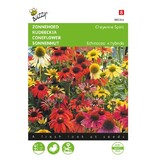 Buzzy Coneflower - Cheyenne Spirit - Buy perennial flower seeds? Garden-Select.com