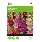 Buzzy Hollyhocks - Antwerp Stars - Buy Perennial Flower Seeds? Garden-Select.com