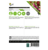 Buzzy Hollyhocks - Antwerp Stars - Buy Perennial Flower Seeds? Garden-Select.com