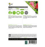 Buzzy Hollyhock - Summer Carnival - Buy Annual Flower Seeds? - Garden-Select.com