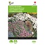 Buzzy Rock Garden Flowers - Mix - Buy Perennial Flower Seeds? Garden-Select.com