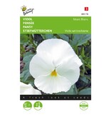 Buzzy Pansy - Mont Blanc - Buy Biennial Flower Seeds? Garden Select