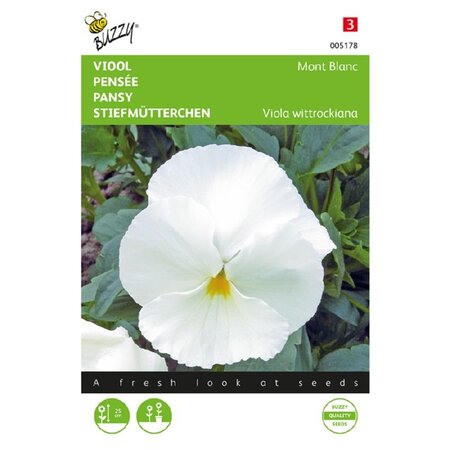 Buzzy Pansy - Mont Blanc - Buy Biennial Flower Seeds? Garden Select