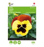 Buzzy Pansy - Red Wing - Buy Large-flowered - Swiss Giant Violets? Garden-Select.com