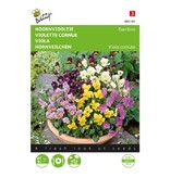 Buzzy Viola - Bambini - Buy Flower Seeds Online? Garden-Select.com