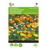 Buzzy California Poppy - Single Flower - Poppy - Buy Annual Flower Seeds? Garden Select