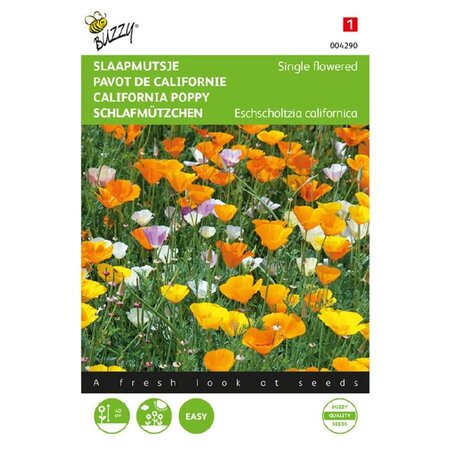 Buzzy California Poppy - Single Flower - Poppy - Buy Annual Flower Seeds? Garden Select