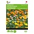 Buzzy California Poppy - Single-Flower
