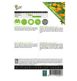 Buzzy California Poppy - Single Flower - Poppy - Buy Annual Flower Seeds? Garden Select