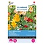 Buzzy Kapuzinerkresse - Juwel von Afrika - Kletterpflanze - Buy Annual Flower Seeds?