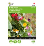 Buzzy Klimplanten - Mix - Eenjarige Bloemzaden Kopen? - Garden-Select.com