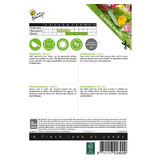 Buzzy Annual Climbers - Mix - Buy Annual Flower Seeds? - Garden-Select.com