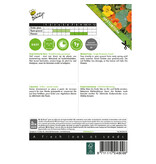 Buzzy Nasturtium - Single Flowered - Buy flower seeds? - Garden-Select.com