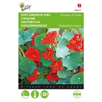 Nasturtium - Empress Of India