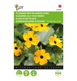 Buzzy Schwarzäugige Susanne - Kletterpflanzen - Blumensamen Kaufen? Garden-Select.de