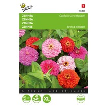 Zinnia - Californische Reuzen
