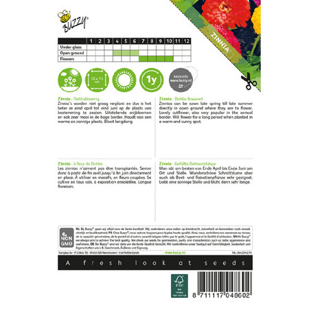 Buzzy Zinnia - Dahlia Flowered - Pompon Dahlia - Buy Flower Seeds? Garden-Select.com