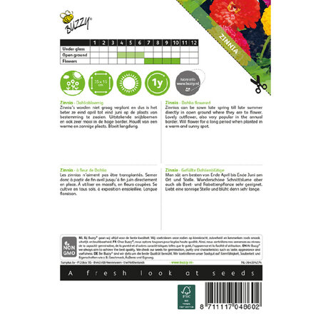 Buzzy Zinnia - Dahlienblüten - Pompon Dahlia - Blumensamen kaufen? Garden-Select.de