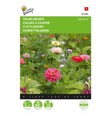 Buzzy Cut Flowers - Mix - Buy Flower Seeds Online Cheaply? Garden-Select.com