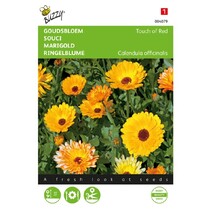 Marigold - Touch Of Red