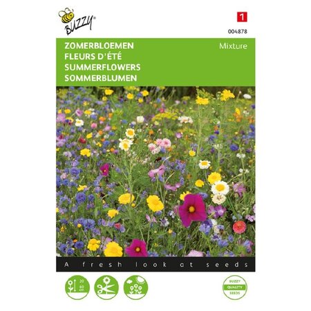 Buzzy Summer Flowers - Mix - Buy Mixed Flower Seeds? Garden-Select.com