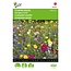 Buzzy Summer Flowers - Mix - Buy Mixed Flower Seeds? Garden-Select.com
