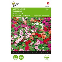 Busy Lizzie - Baby Mixed