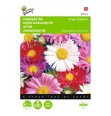 Buzzy Aster - Single Flowers - Buy Mixed Aster Seeds? Garden-Select.com