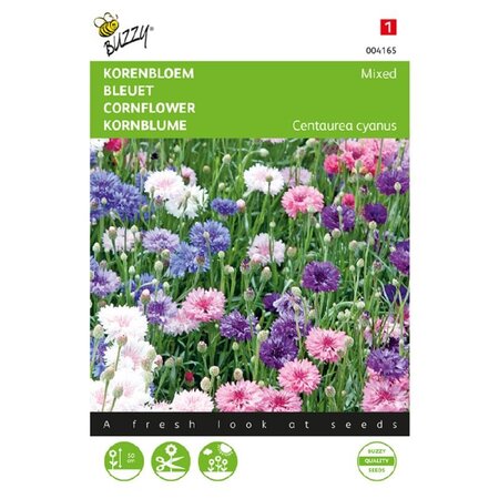 Buzzy Cornflower - Double-Flowered - Buy Mixed Flower Seeds? Garden-Select.com