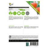 Buzzy Lantern Plant - Buy Perennial Flower Seeds? Garden-Select.com