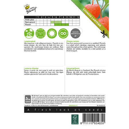 Buzzy Lantern Plant - Buy Perennial Flower Seeds? Garden-Select.com