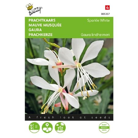 Buzzy Gaura - Sparkle White - Buy Perennial Seeds? Garden-Select.com