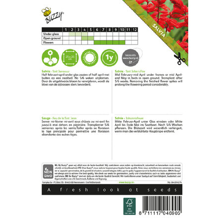 Buzzy Salvia - Saint John's Fire - Attracts Butterflies - Buy Flower Seeds? Garden-Select.com